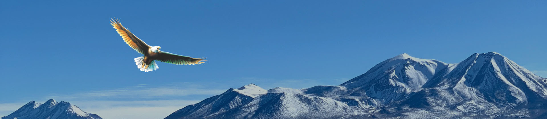 生產基地